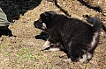 08_kull_4_06v_4.jpg 08_kull_4_06v_4.jpg