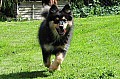 10_Mysa_03m_02.jpg 10_Mysa_03m_02.jpg