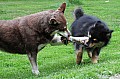 14_Mysa_03m_06.jpg 14_Mysa_03m_06.jpg