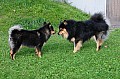 16_Mysa_06m_01.jpg 16_Mysa_06m_01.jpg