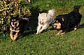 18_Mysa_06m_03.jpg 18_Mysa_06m_03.jpg