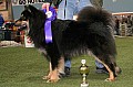 19_Masa_10m_1.jpg 19_Masa_10m_1.jpg