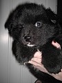 kull_05_08_Akkira_5v.jpg kull_05_08_Akkira_5v.jpg
