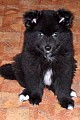 kull_05_11_Akkira_10v.jpg kull_05_11_Akkira_10v.jpg