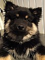 kull_05_16_Arko_10v.jpg kull_05_16_Arko_10v.jpg